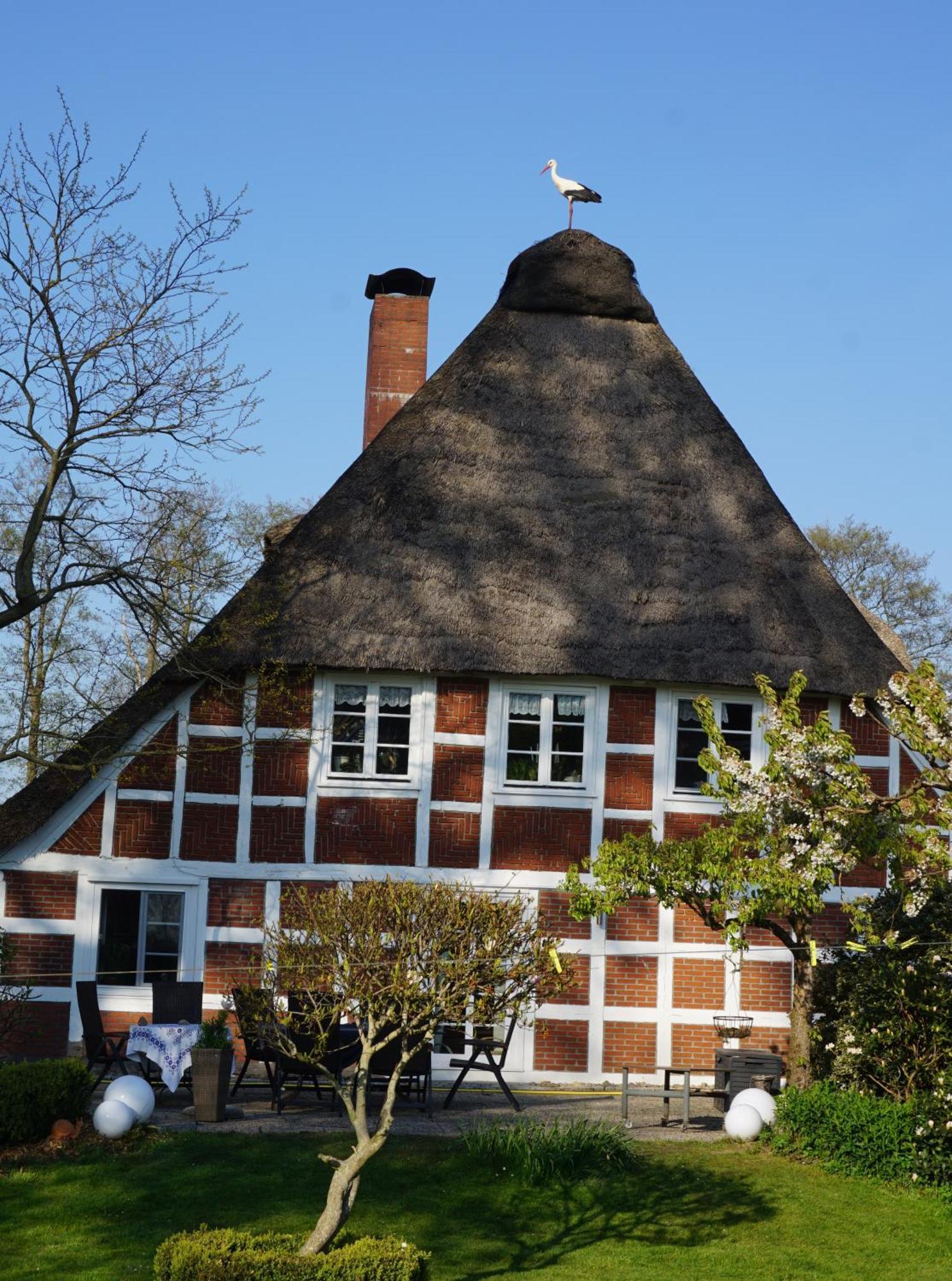 Altes Landhaus Oste, Klavier Appartement, 2 Zimmer Mit Kamin Hemmoor Dış mekan fotoğraf